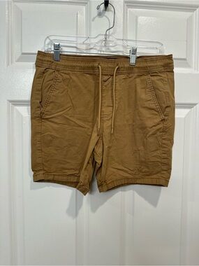 Hollister Men's Drawstring Athletic Shorts - Brown